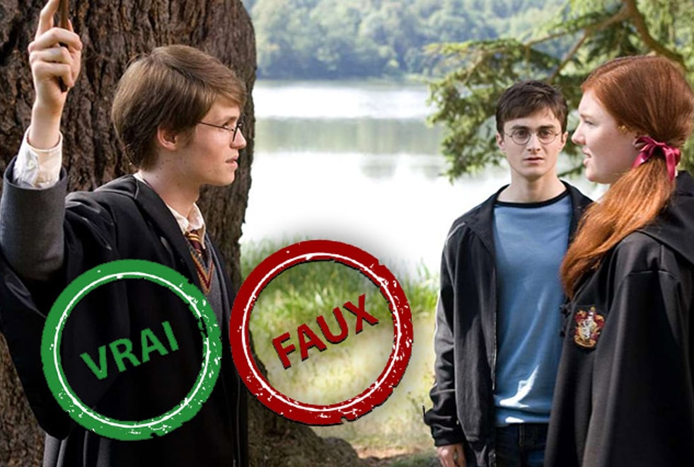 Quiz Harry Potter : impossible d’avoir 10/10 à ce Vrai ou Faux sur la famille Potter