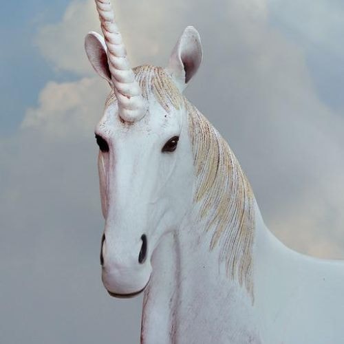 Une corne de licorne