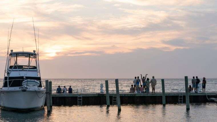 fire island, disney+