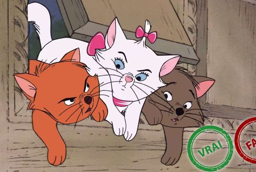 Les Aristochats : t’as une excellente mémoire si t’as 10/10 à ce quiz vrai ou faux sur le Disney culte