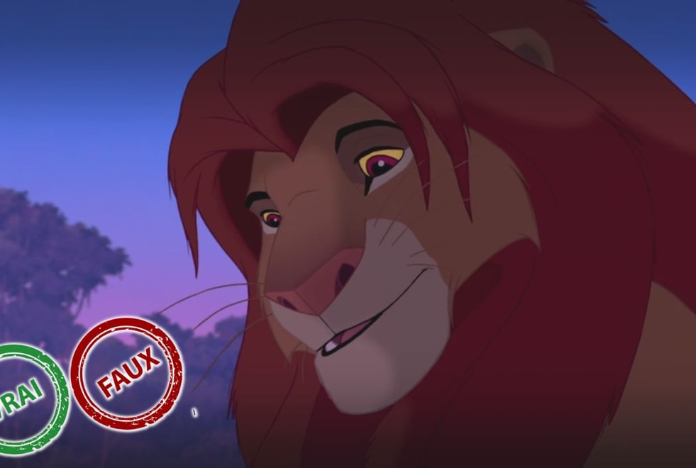 Tu deviens Le Roi Lion si tu as 5/5 à ce quiz vrai ou faux sur Simba