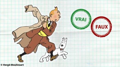 Tintin : impossible d&rsquo;avoir 10/10 à ce quiz vrai ou faux sur le dessin animé