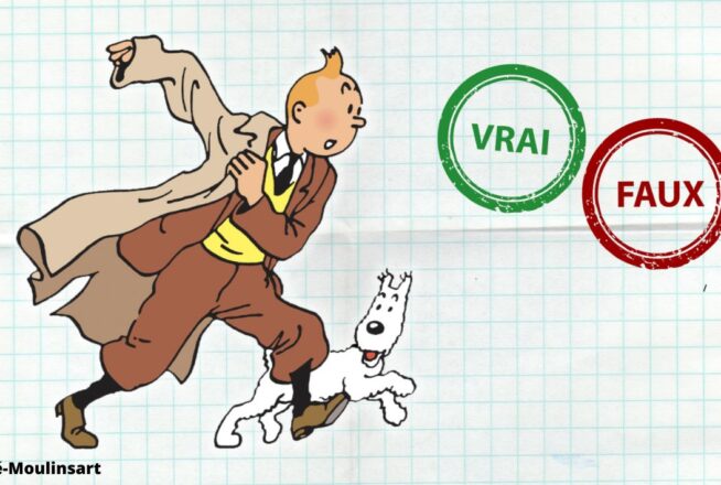 Tintin : impossible d&rsquo;avoir 10/10 à ce quiz vrai ou faux sur le dessin animé