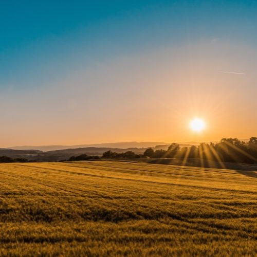 Le lever du soleil 