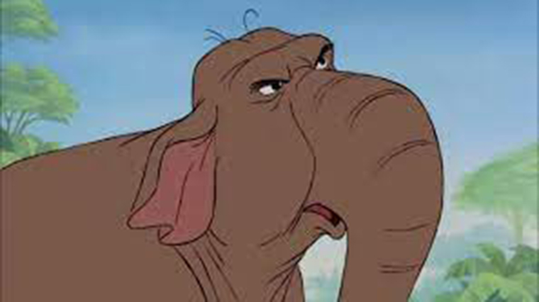 winifred