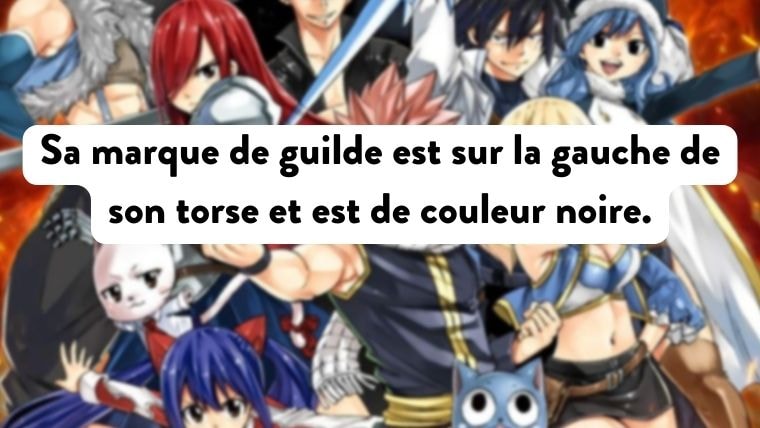 ©Hiro Mashima・KODANSHA/Fairy Tail Guild・TV TOKYO. All Rights Reserved