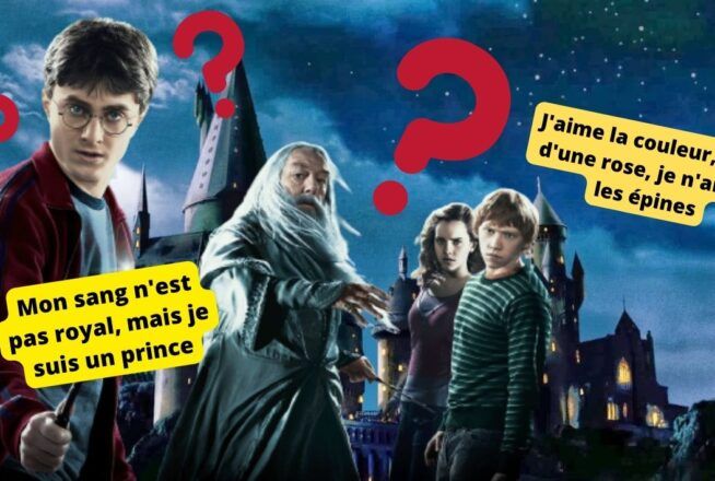 Harry Potter : joue au «Qui est-ce ?» et retrouve quels personnages se cachent derrière ces descriptions