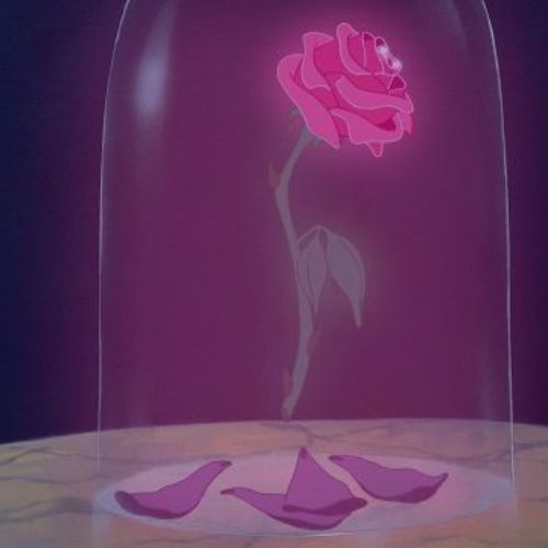 La rose enchantée (La Belle et la Bête)