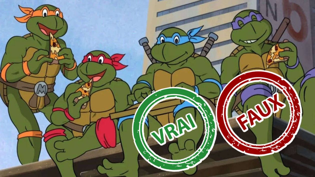 Les Tortues Ninja : impossible d'avoir 10/10 à ce quiz vrai ou faux sur le dessin animé