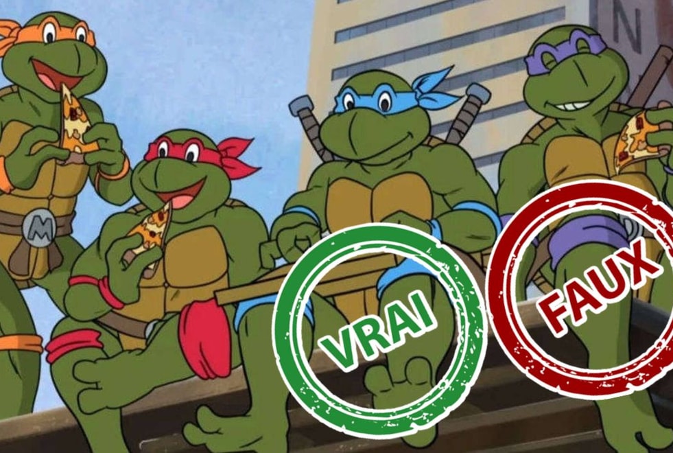 Les Tortues Ninja : impossible d’avoir 10/10 à ce quiz vrai ou faux sur le dessin animé