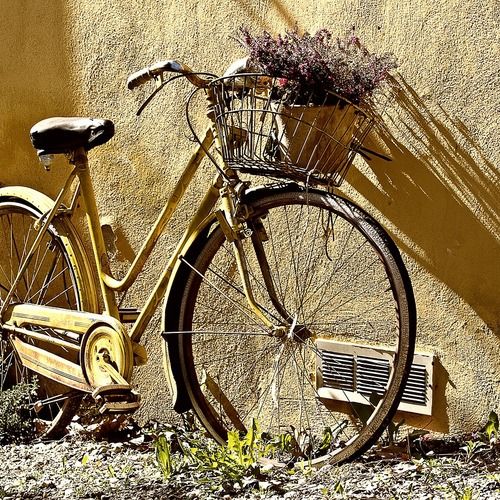By bicycle