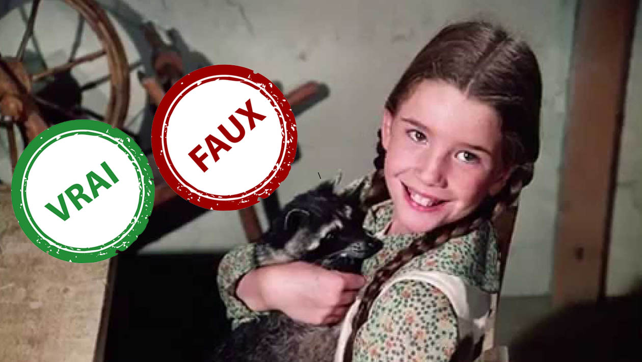 La Petite Maison dans la Prairie : impossible d'avoir 5/5 à ce quiz Vrai ou Faux sur Laura Ingalls