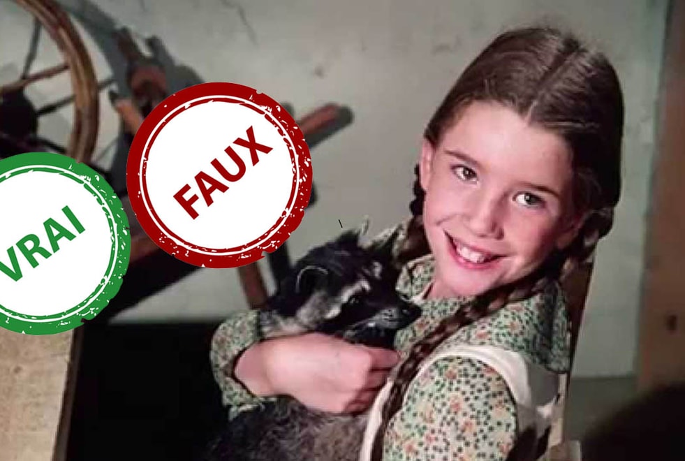La Petite Maison dans la Prairie : impossible d’avoir 5/5 à ce quiz Vrai ou Faux sur Laura Ingalls
