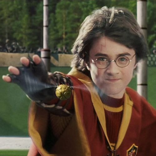 Le Quidditch