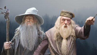 Quiz Harry Potter, Le Seigneur des Anneaux : cette réplique vient-elle de Dumbledore ou Gandalf ?