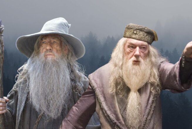 Quiz Harry Potter, Le Seigneur des Anneaux : cette réplique vient-elle de Dumbledore ou Gandalf ?