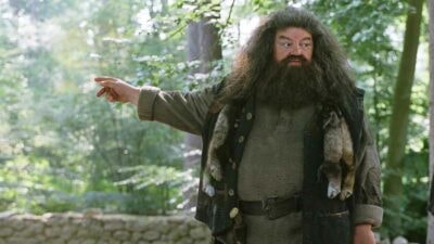 Harry Potter : et si Hagrid était secrètement un mangemort ? La folle théorie