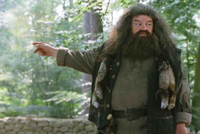 Harry Potter : et si Hagrid était secrètement un mangemort ? La folle théorie