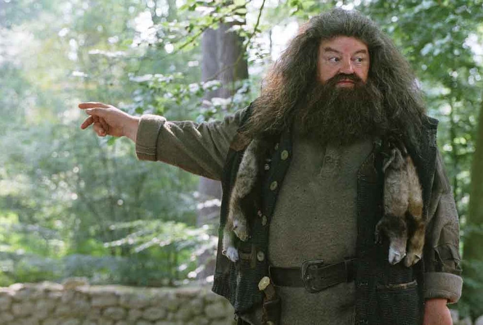 Harry Potter : et si Hagrid était secrètement un mangemort ? La folle théorie