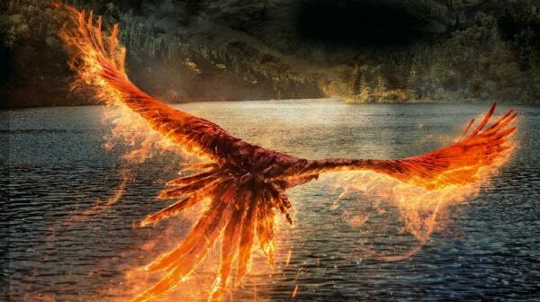 les-animaux-fantastiques-les-secrets-de-dumbledore-phoenix