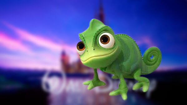 pascal