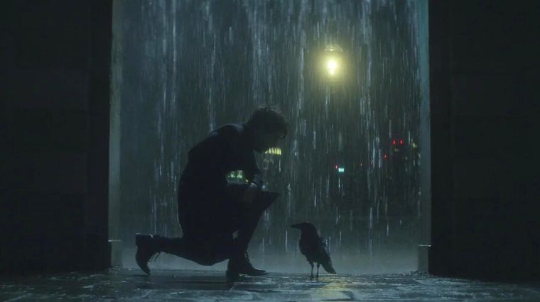 sandman-corbeau