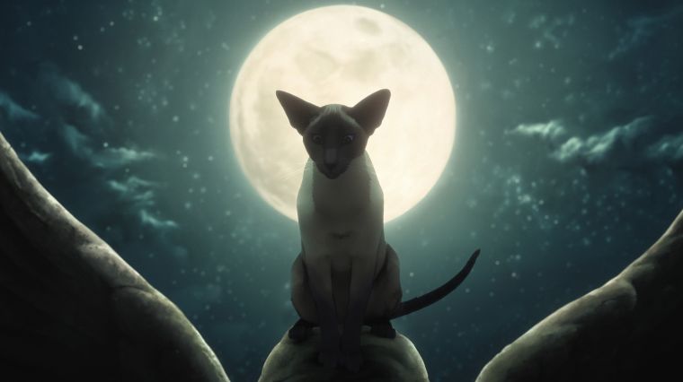 sandman-un-reve-de-mille-chats