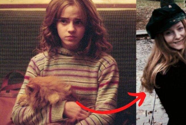 Harry Potter : et si Pattenrond avait appartenu à Lily Potter avant Hermione ? La folle théorie