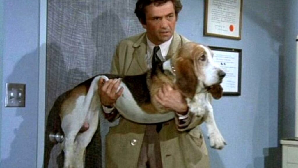 columbo et son chien