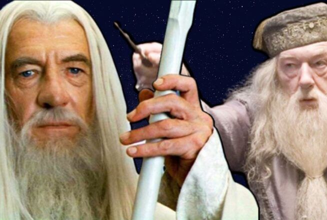 Quiz « qui a fait ça ? » : Dumbledore (Harry Potter), Gandalf (Le Seigneur des Anneaux) ou les deux ?