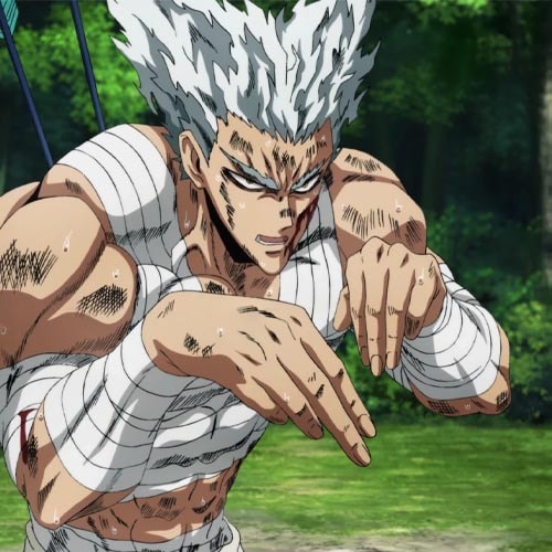 Garou (One Punch Man)