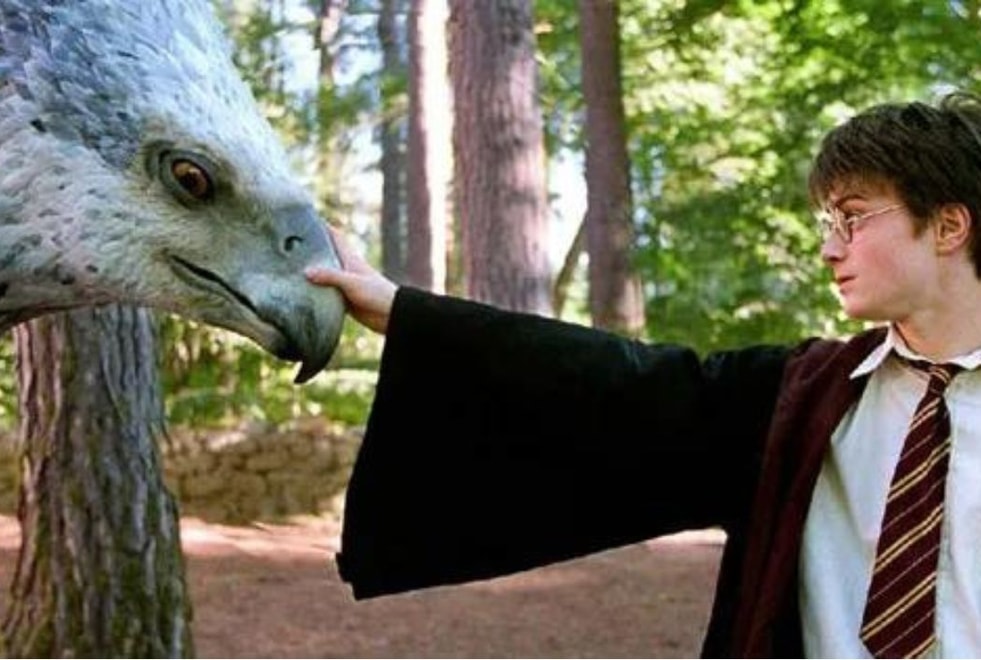 Harry Potter : seul un vrai fan aura 10/10 à ce quiz sur les créatures magiques