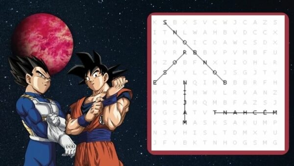 quiz-dragon-ball-mots-meles-10