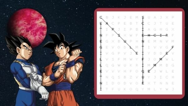 quiz-dragon-ball-mots-meles-12