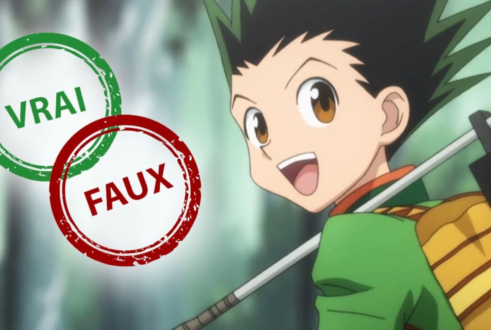 Quiz Hunter x Hunter : impossible d’avoir 5/5 à ce vrai ou faux sur Gon