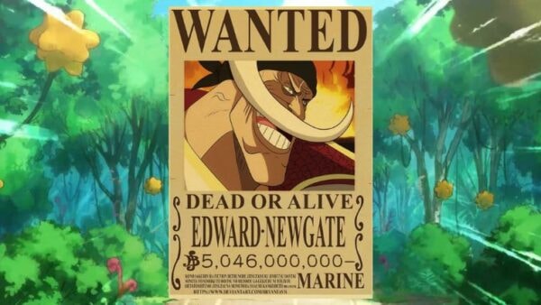 quiz-one-piece-prime-vrai-ou-faux-760-x-428-px-14
