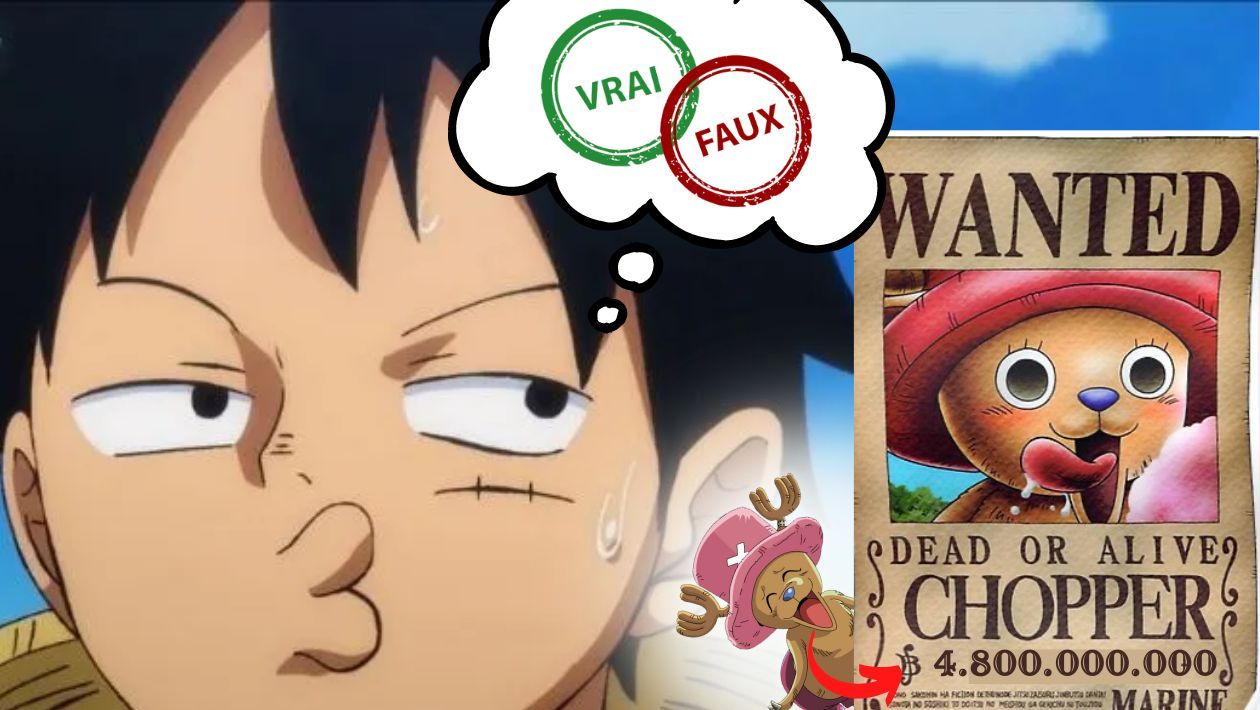 One Piece : seul un fan aura 7/10 ou plus à ce quiz vrai ou faux