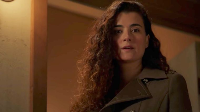 ziva david dans la série ncis