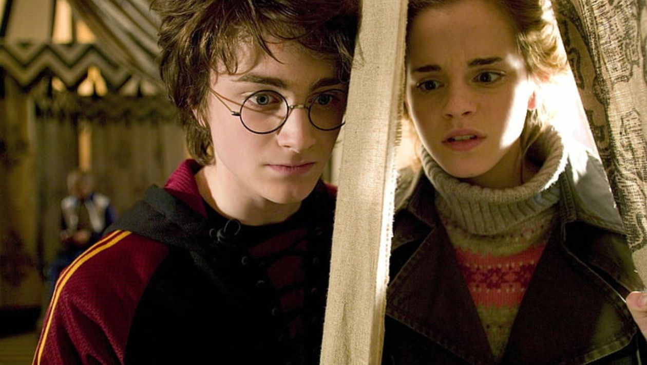 Quiz "qui a fait ça ?" : Harry Potter, Hermione Granger ou les deux ?