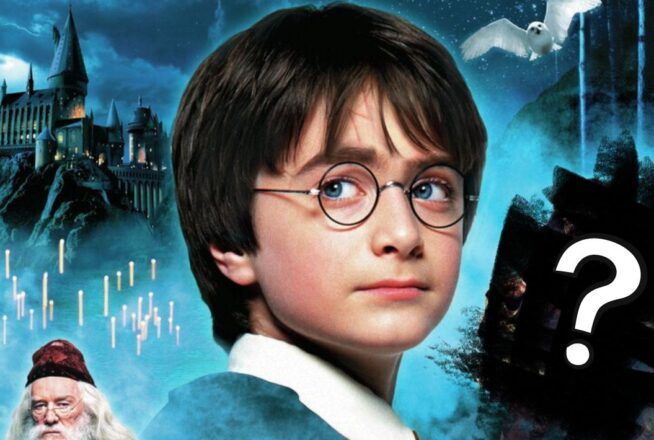 Tu n&rsquo;es pas un vrai fan de Harry Potter si tu ne reconnais pas les vraies affiches