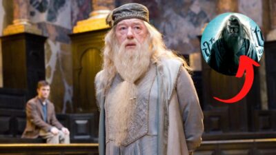 Harry Potter : et si Dumbledore était le grand méchant de la saga ? #Théorie