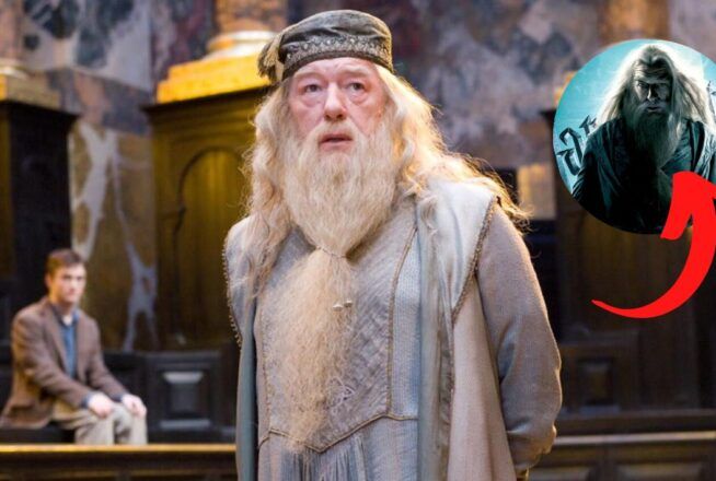 Harry Potter : et si Dumbledore était le grand méchant de la saga ? #Théorie