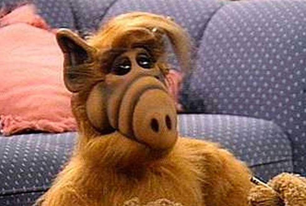 Alf : tu n’as jamais vu la série si tu n’as pas 10/10 à ce quiz