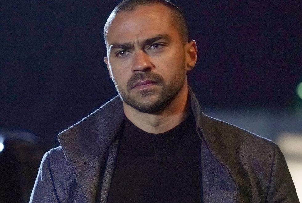 Grey’s Anatomy saison 19 : Jesse Williams (Jackson) de retour dans l’épisode 5