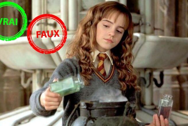Harry Potter : t&rsquo;es un moldu si tu ne sais pas si cette réplique d&rsquo;Hermione existe