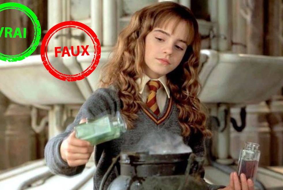Harry Potter : t’es un moldu si tu ne sais pas si cette réplique d’Hermione existe