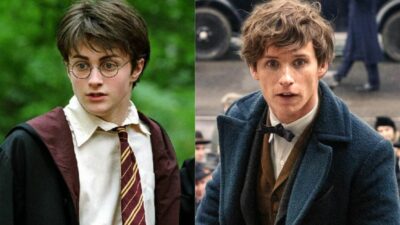 TF1 va proposer une semaine spéciale Harry Potter en octobre, découvrez la date !