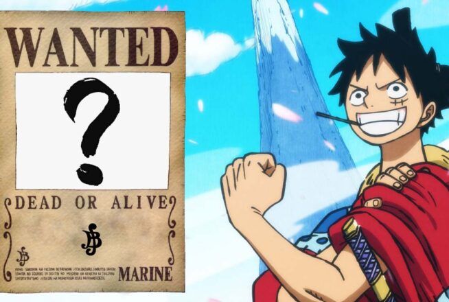 Quiz : élimine un perso de One Piece, on te dira quelle est ta prime