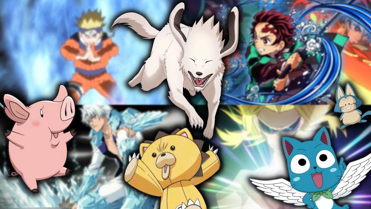 Quiz : choisis un animal d&rsquo;anime, on devinera ton âge