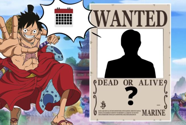 Quiz One Piece : ton mois de naissance te dira quelle prime tu aurais